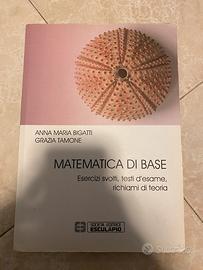 Matematica di base Anna Maria Bigatti e Grazia T