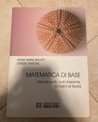 Matematica di base Anna Maria Bigatti e Grazia T
