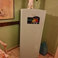 HISENSE FRIGO COLORE VERDE MELA