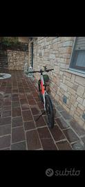 bicicletta elettrica 