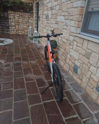 bicicletta elettrica 