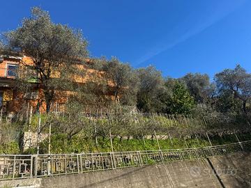 Casa vista mare - Pitelli/Lerici