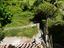 Immagine 26