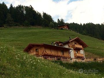 Maso agritur ciprianna