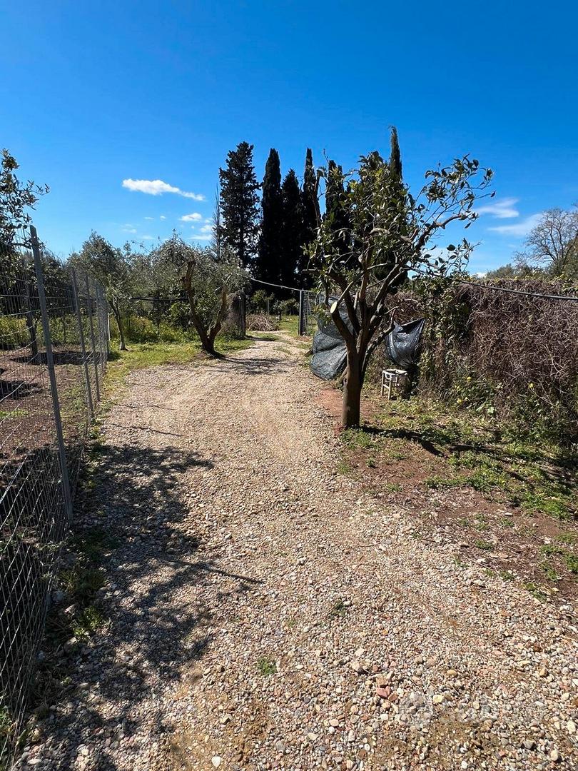 Quartucciu, Is Concias, terreno edificabile - Vista 3