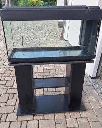 acquario 80 litri