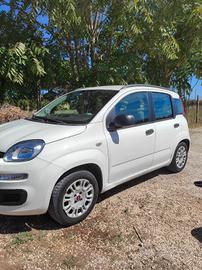 FIAT Panda 2013 