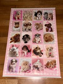 Poster cani/gatti