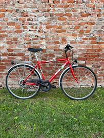 Bicicletta uomo