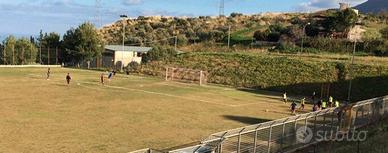 Terreno Agricolo Uliveto