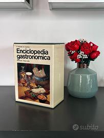 "Il mondo in cucina. Enciclopedia gastronomica"