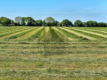 Area verde a Poggio Torriana