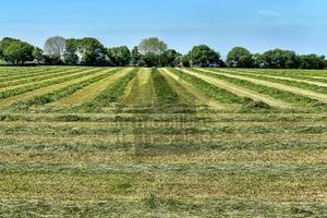 Area verde a Poggio Torriana