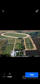 Azienda agricola 30 ettari