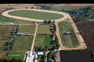 Azienda agricola 30 ettari