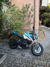 Voge Brivido 125r - 2025 (Colore Azzurro)