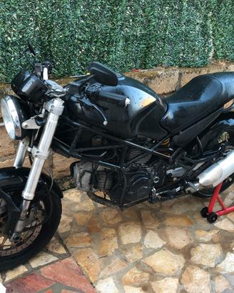 Ducati monster