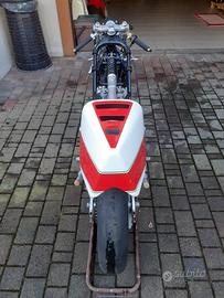 Yamaha 250 tz