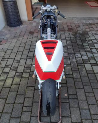 Yamaha 250 tz