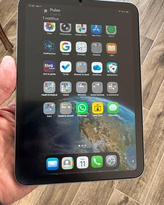Mini 7 Wi-Fi + Cellular 256 Gb come nuovo