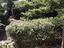 Immagine 27
