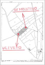 Terreno a Nocciano (Pe)