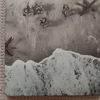 cod ww2 ps4 steelbox