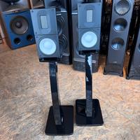 diffusori Raidho  X1 diffusori e stand garanzia
