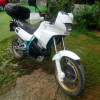 Honda dominetor