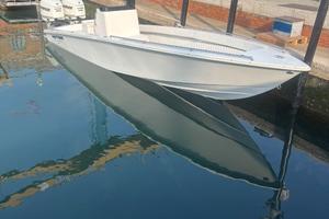 Pantera 24 open