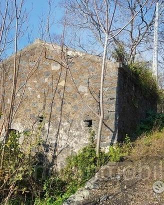 Terreno 4,2 ettari a Giarre