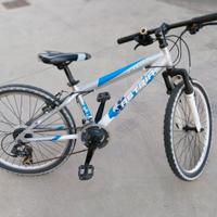Mountain bike ragazzo ruote 24