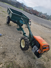 Goldoni 14 cv special