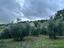 Immagine 18
