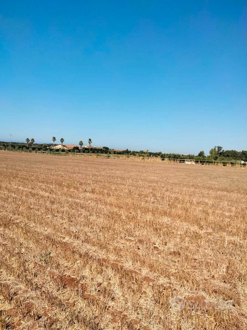 Terreno e fabbricati agricoli - Vista 2