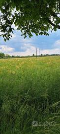 Terreno Agricolo