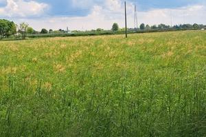 Terreno Agricolo