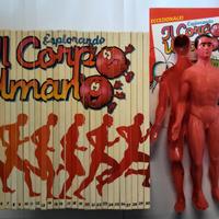 Esplorando il Corpo Umano 30 volumi + modellino