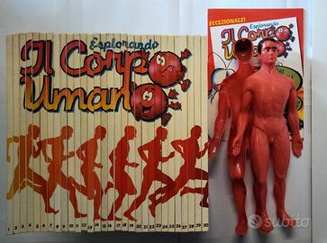 Esplorando il Corpo Umano 30 volumi + modellino