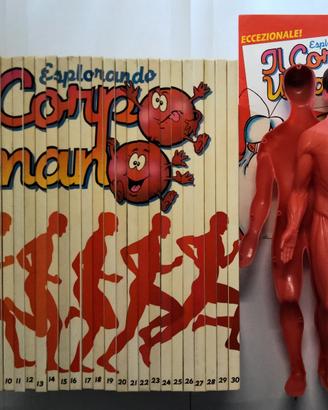 Esplorando il Corpo Umano 30 volumi + modellino