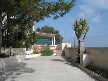 Last minute favignana: casa in una pineta