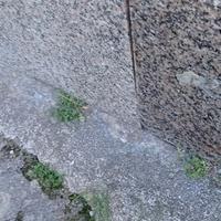 top cucina in marmo granito