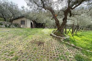 CASA INDIPENDENTE A SANT'AGATA DE' GOTI
