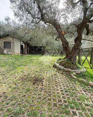 CASA INDIPENDENTE A SANT'AGATA DE' GOTI