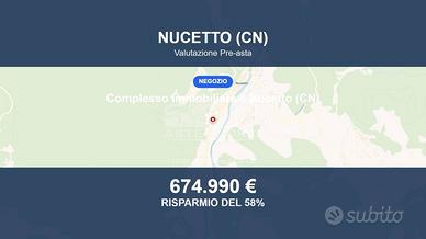 Immobile in asta di 19293 m² a Nucetto