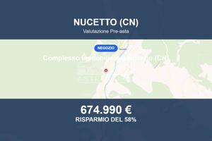 Immobile in asta di 19293 m² a Nucetto