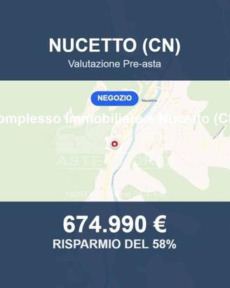 Immobile in asta di 19293 m² a Nucetto