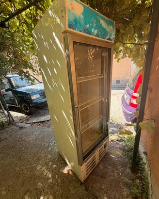 Frigo