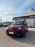 fiat-panda-1-0-firefly-s-s-hybrid-pandina-cross