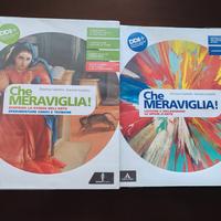 Che meraviglia(storia dell'arte) 